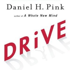 Drive: The Surprising Truth About What Motivates Us  | ebook