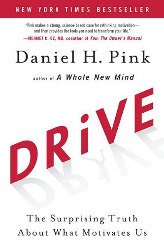 Drive: The Surprising Truth About What Motivates Us  | ebook